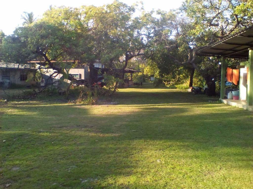 Cashew Nut Bungalow, Ko Mook المظهر الخارجي الصورة
