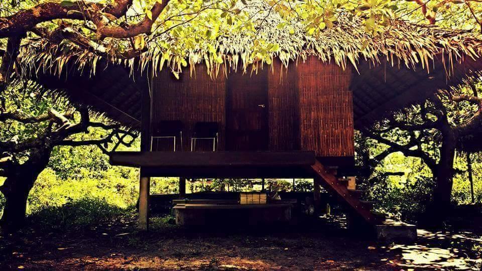 Cashew Nut Bungalow, Ko Mook المظهر الخارجي الصورة