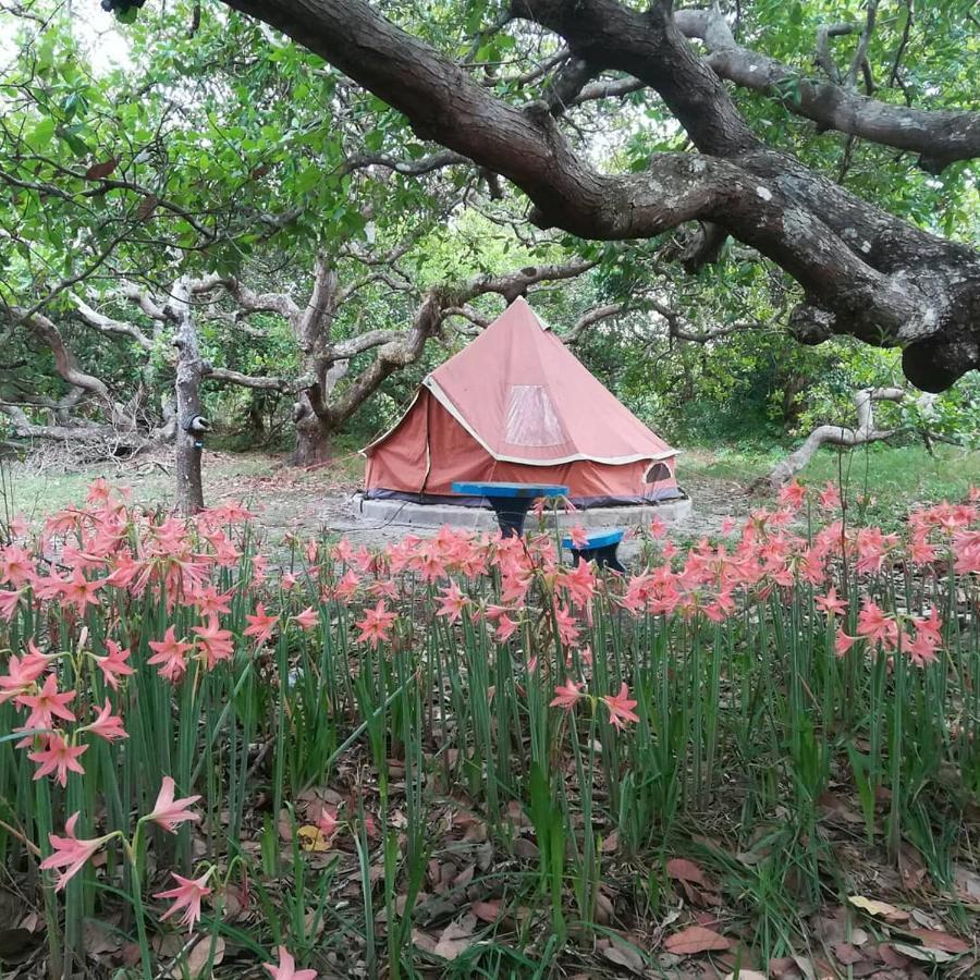 Cashew Nut Bungalow, Ko Mook المظهر الخارجي الصورة