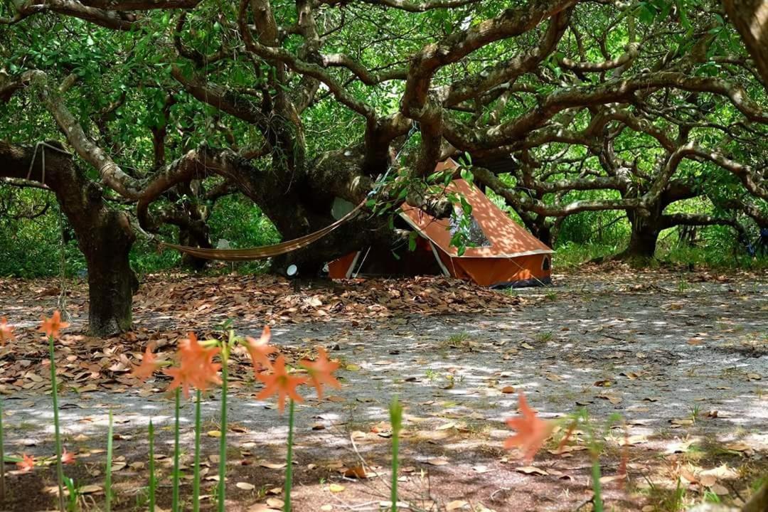 Cashew Nut Bungalow, Ko Mook المظهر الخارجي الصورة